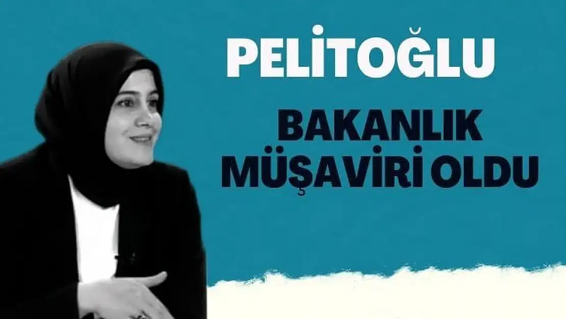 Pelitoğlu Bakanlık Müşaviri Oldu