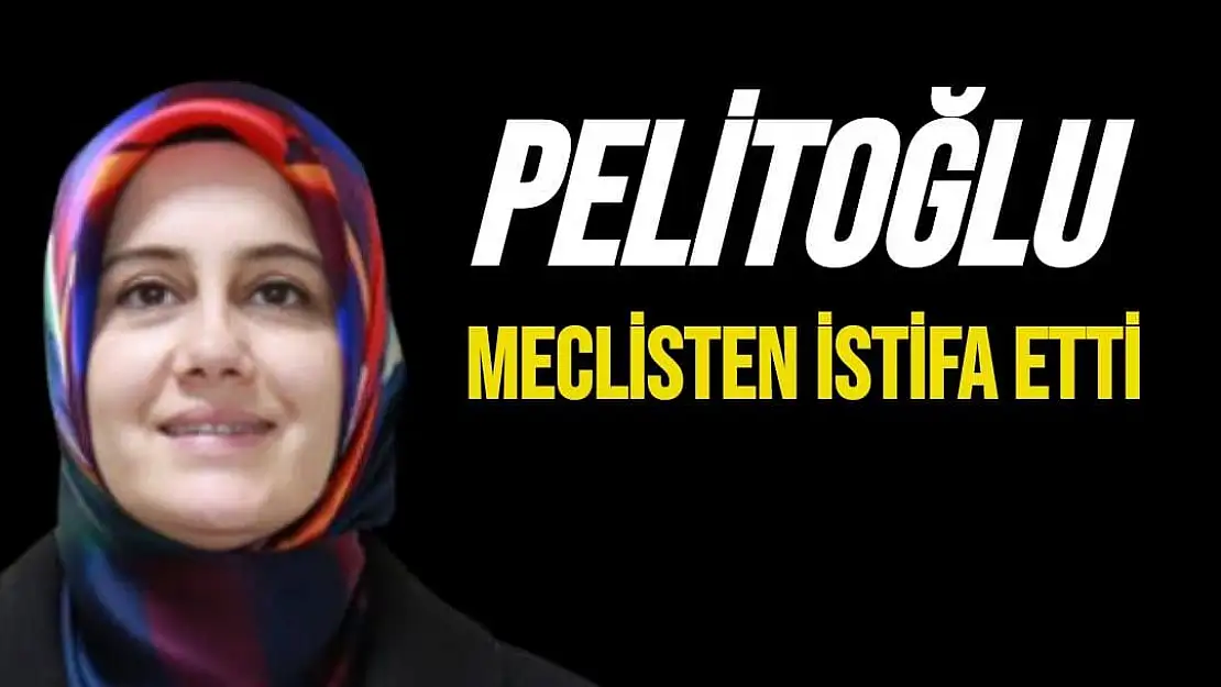 Pelitoğlu meclisten istifa etti