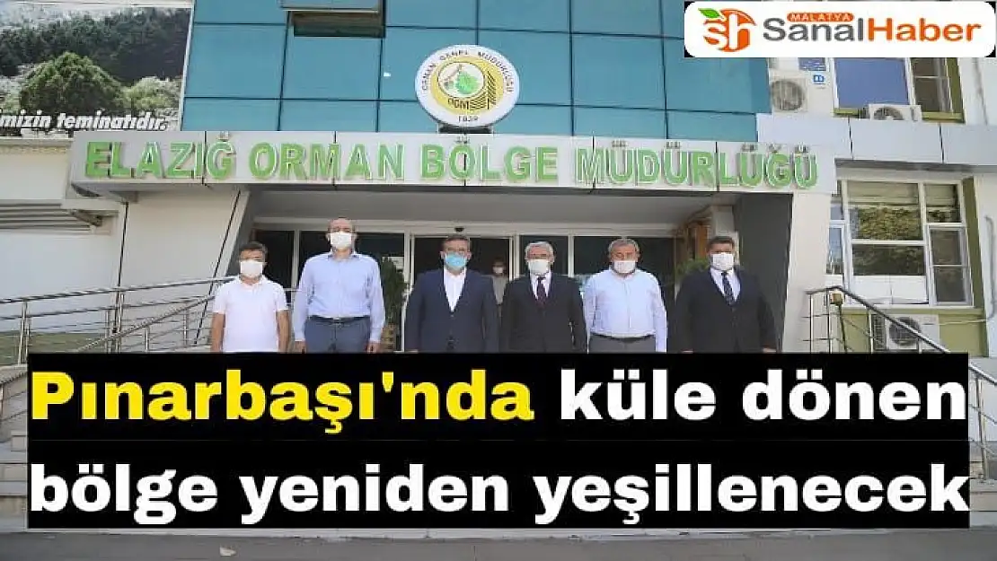 Pınarbaşı'nda küle dönen bölge yeniden yeşillenecek