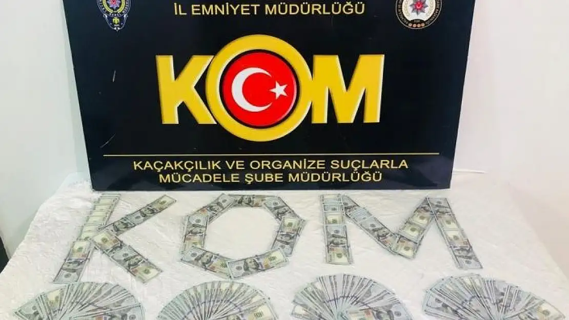 'Piyasaya sahte dolar  sürme isteyen 2 kişi tutuklandı'