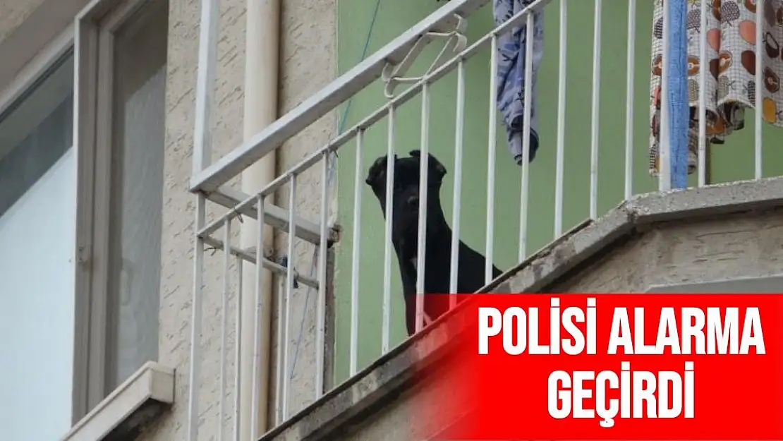 Polisi alarma geçirdi