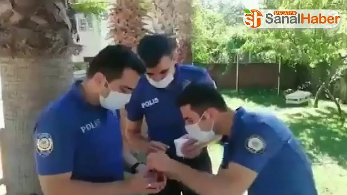 Polislerden susuz kalan serçeye şefkat eli