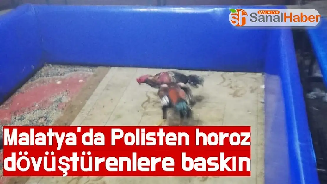 Malatya´da Polisten horoz dövüştürenlere baskın
