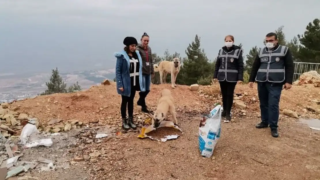 'Polisten sokak hayvanlarına mama'