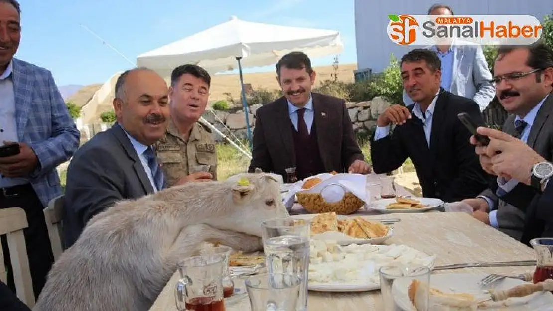 Protokolün sofrasına keçi dadandı
