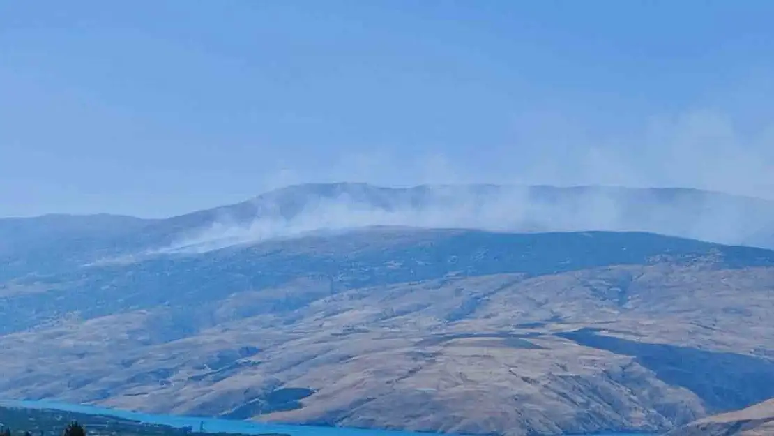 Pütürge'de başlayan arazi yangını, ormanlık alana yayıldı