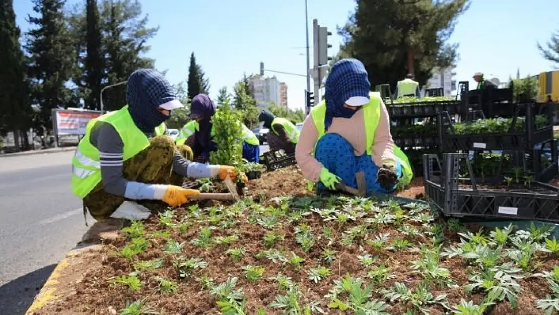 'Refüj ve kavşaklarda bakım çalışmaları'