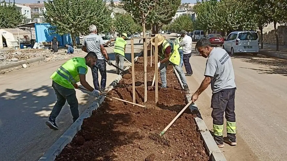 'Refüj ve kavşakların bakım, onarım çalışmalarına devam ediyor'