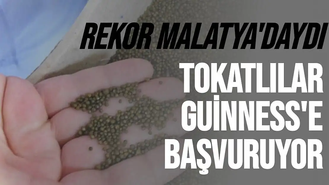 Rekor Malatya'daydı Tokatlılar Guinness'e başvuruyor