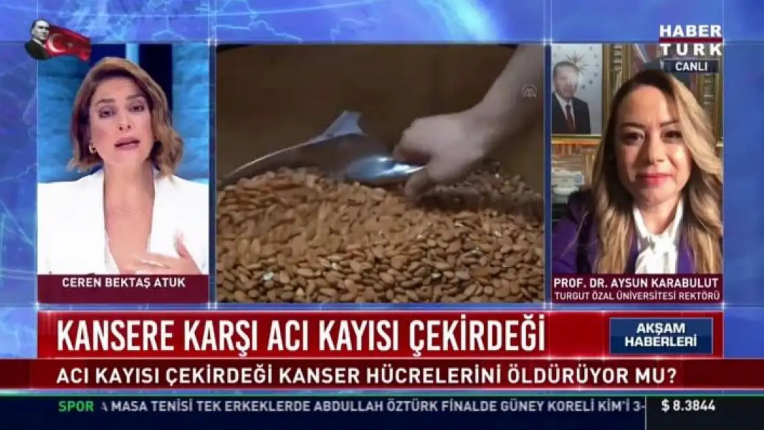 'Rektör Karabulut, acı kayısı çekirdeğinin kanser hücrelerine etkisini anlattı'