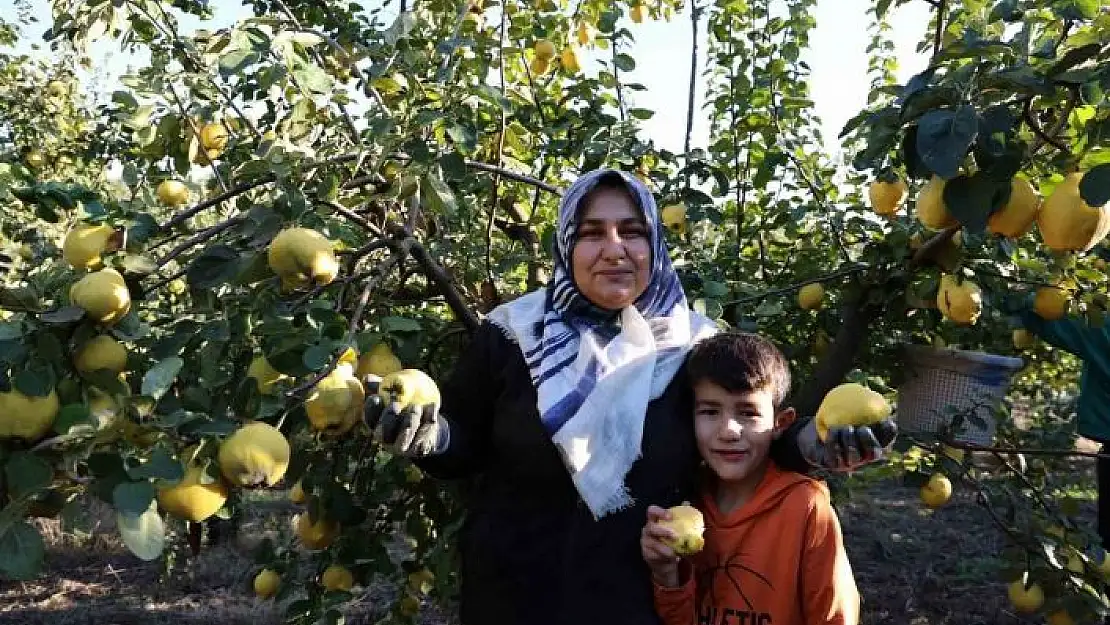 'Rusya´nın ayvası Kahramanmaraş´tan'