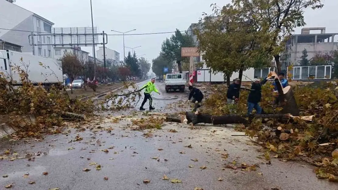 'Rüzgar nedeniyle devrilmek üzere olan ağaç korkuttu'