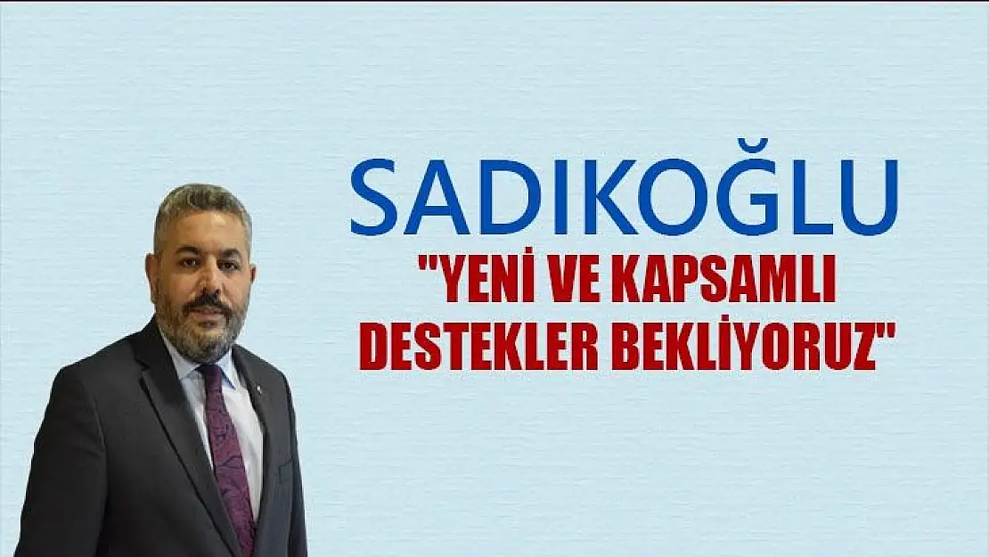 Sadıkoğlu´ndan yeni destek talebi
