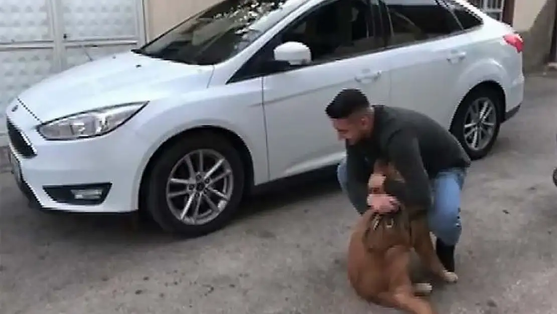 'Sahibine kavuşan köpeğin sevinci'