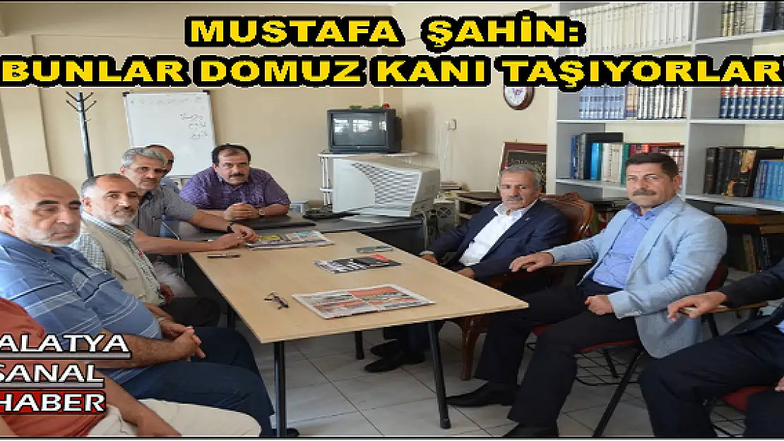 'ŞAHİN:  BUNLAR DOMUZ KANI TAŞIYORLAR'''''