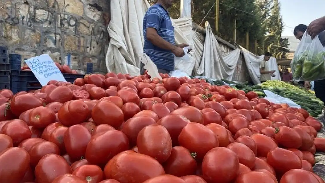 'Salçalık domates ve biberler tezgahlarda'