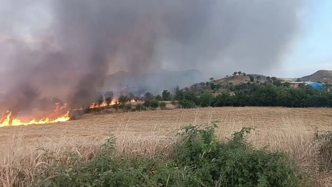 'Saman yangınında hayvanlar tahliye edildi'