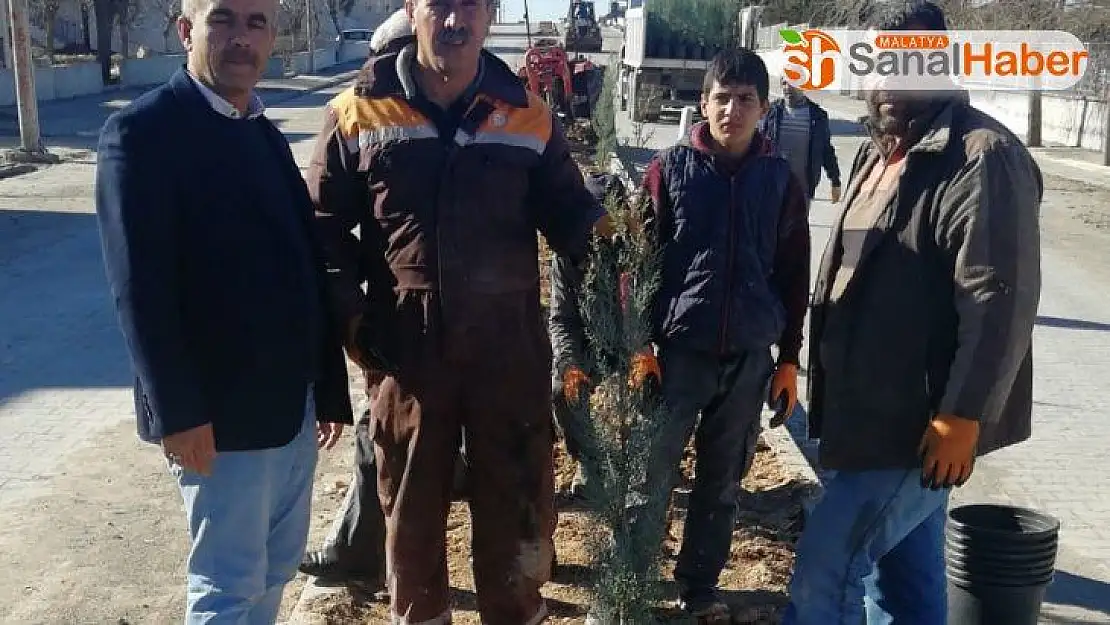 Samsat'ta refüjlerde ağaçlandırma çalışması