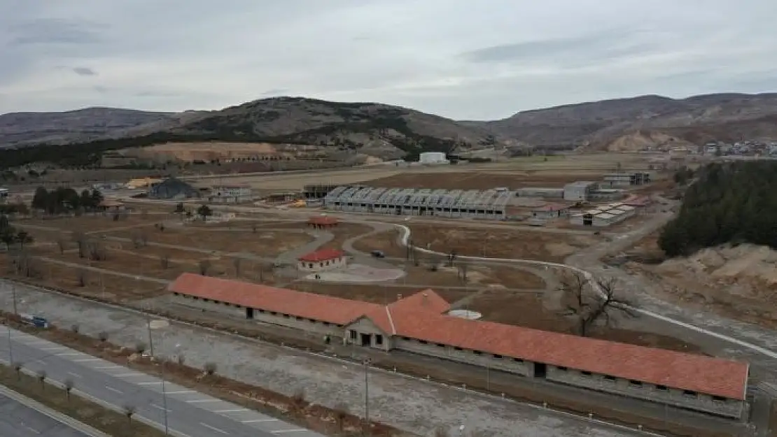 'Saraya at yetiştirilmişti, çalışmalar hızla sürüyor'