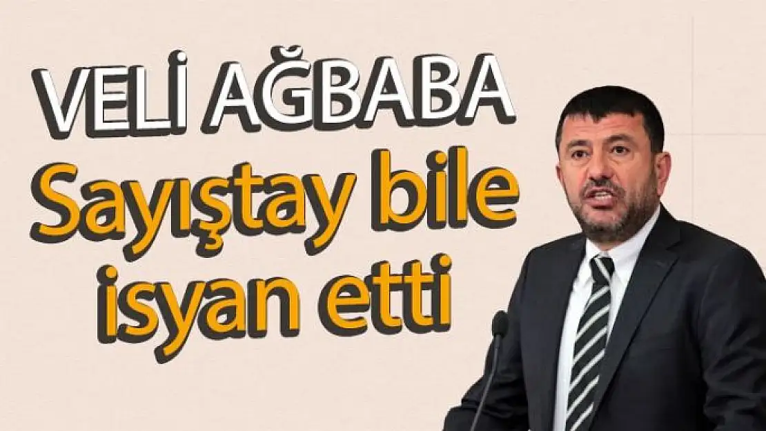 Sayıştay bile isyan etti