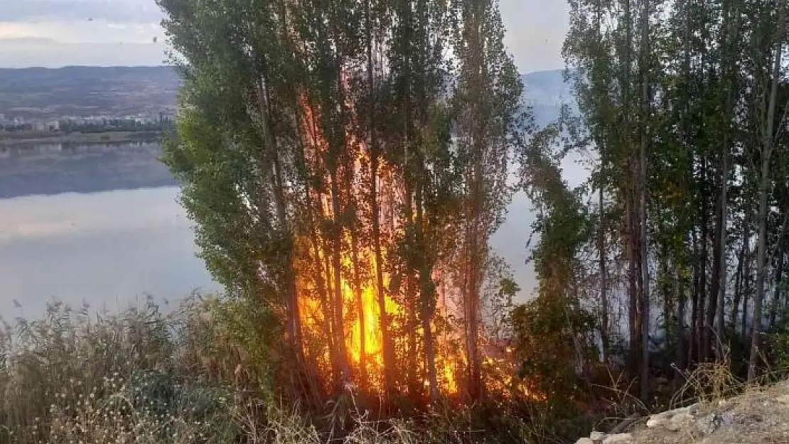 'Sazlık alanda çıkan yangın korkuttu'