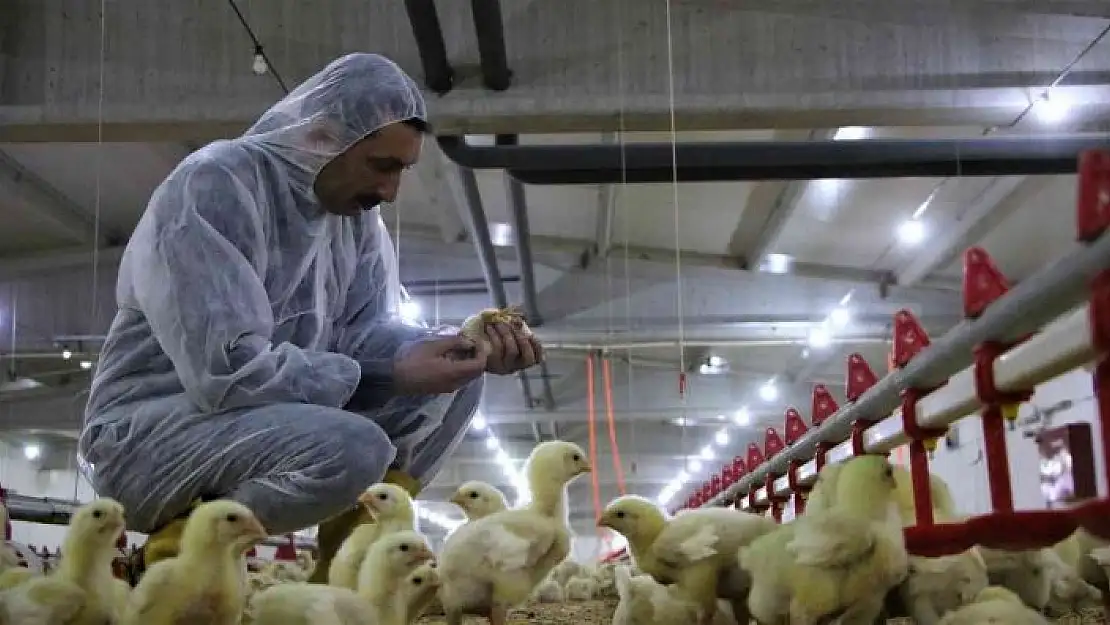 'Şehir hayatından sıkıldı, devletten aldığı destek ile köye dönüp çiftlik kurdu'