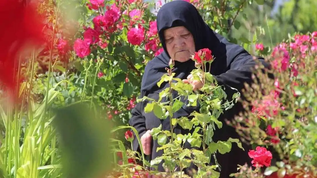 'Şehitler bayram arefesinde mezarları başında anıldı'