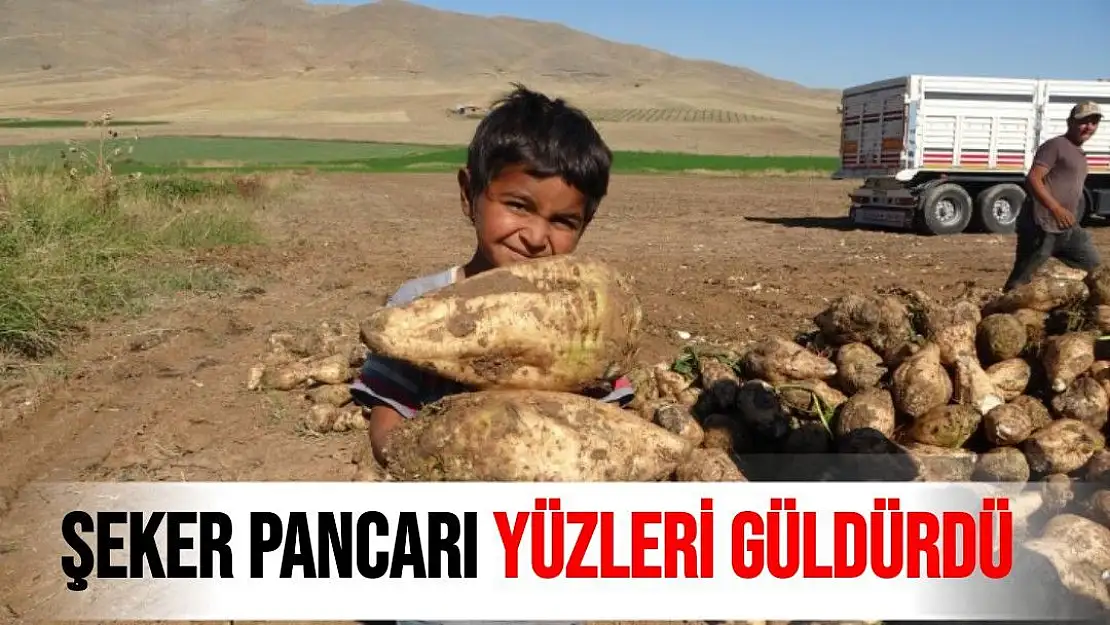 Şeker pancarı yüzleri güldürdü