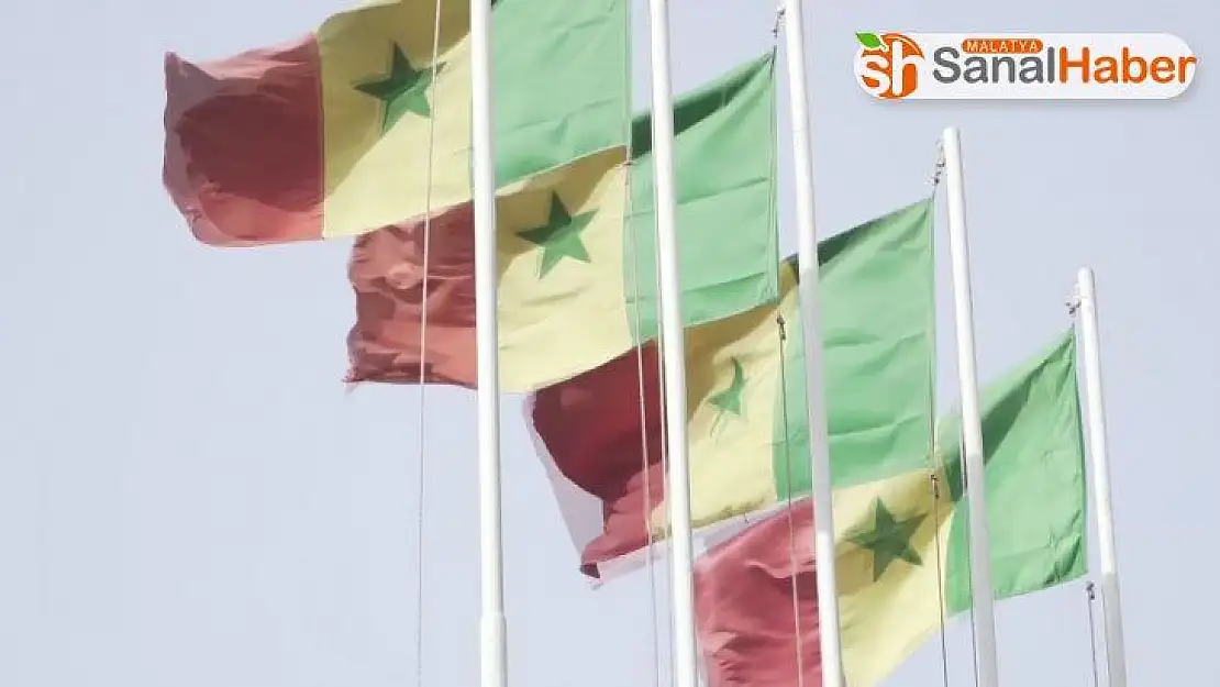 Senegal'de vaka sayısı 314'e çıktı