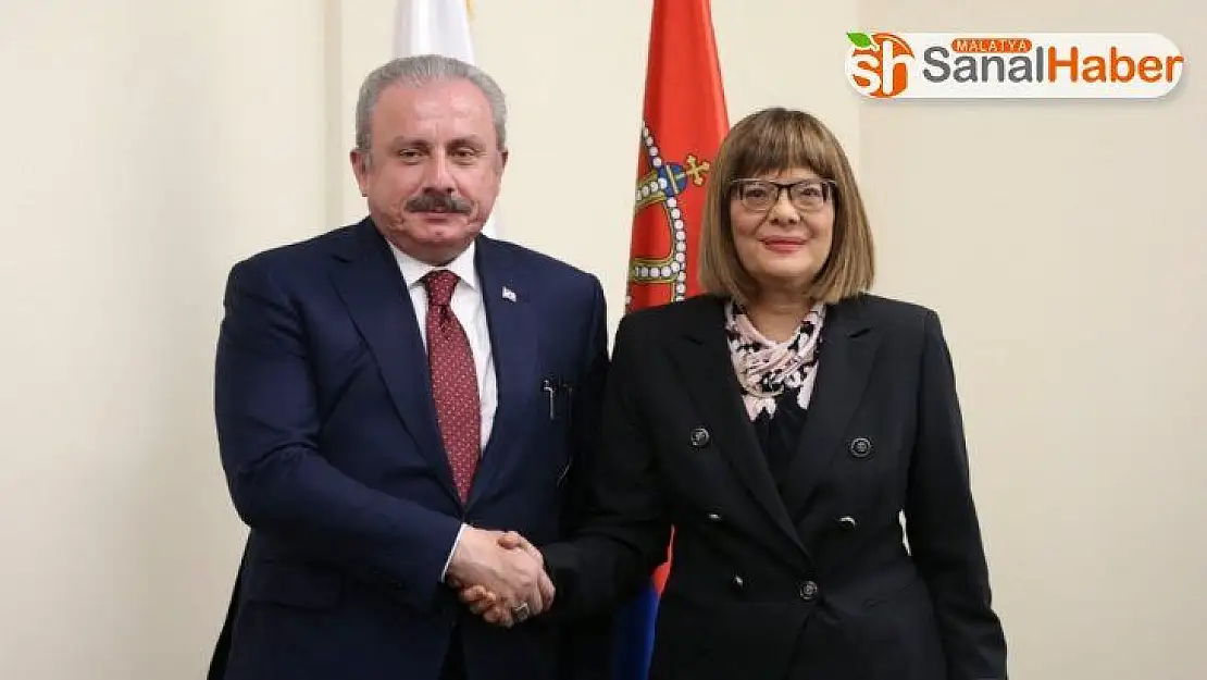 Şentop, Sırbistan Ulusal Meclis Başkanı Gojkoviç ile görüştü