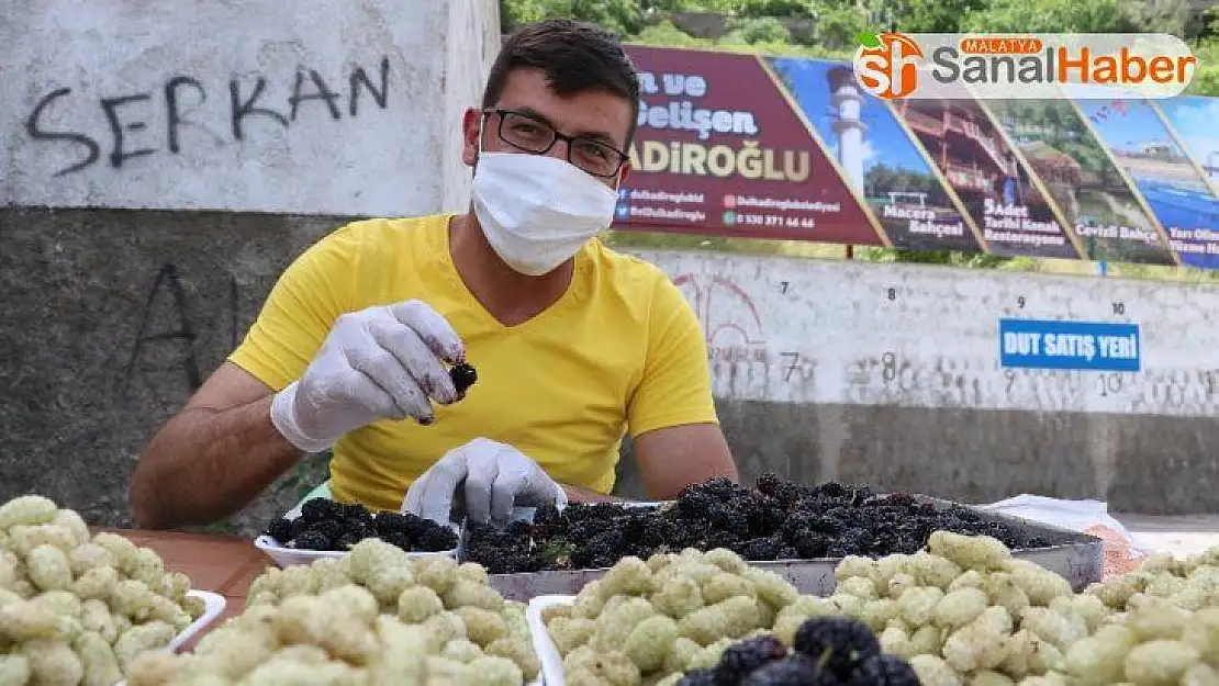 Şifa deposu 'dut' tezgahlarda yerini aldı