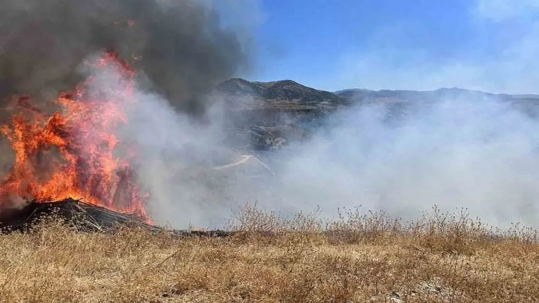 'Sigara izmariti otluk alanı tutuşturdu'