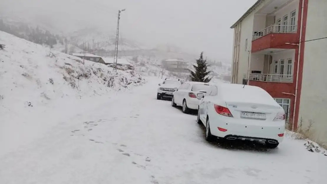 'Sincik ilçesi kar yağışına teslim oldu'
