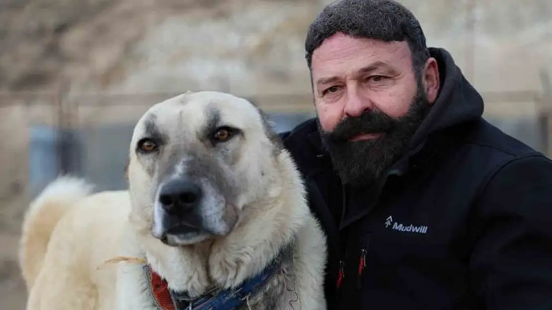 'Sınır ötesi güvenliği için kangal tavsiyesi'