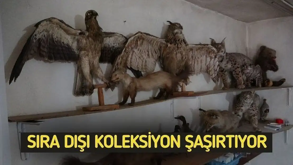 Sıra dışı koleksiyon şaşırtıyor