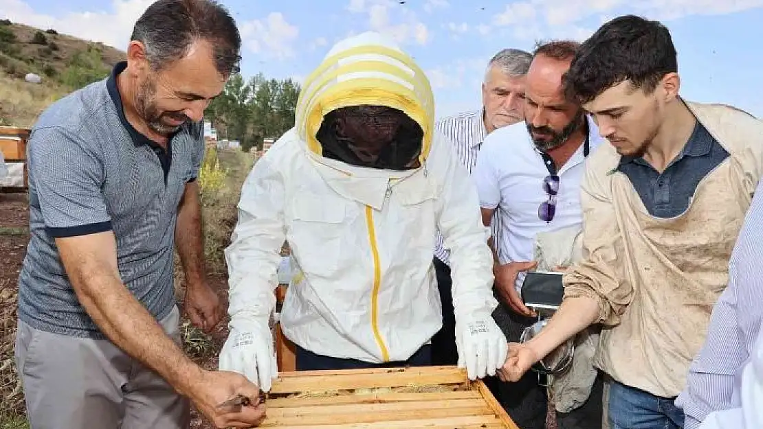 'Sivas bal üretiminde zirvede'