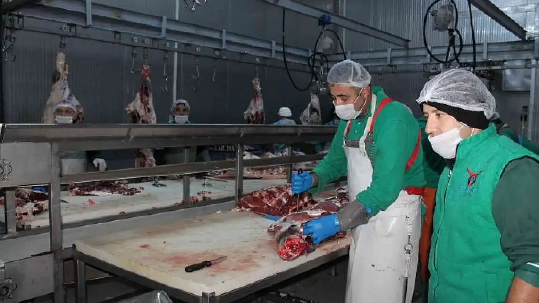 'Sivas Et Kombinasında günlük 2,5 ton kavurma üretiliyor'