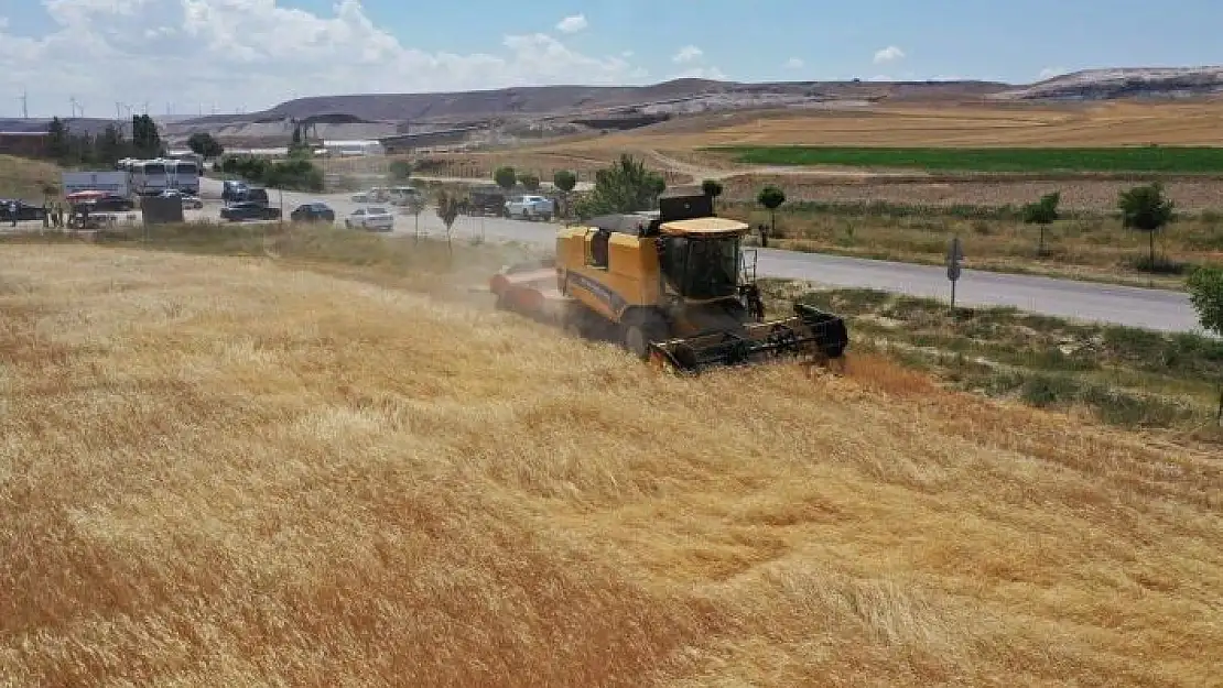 'Sivas işlenen tarım alanında 4´üncü sırada'