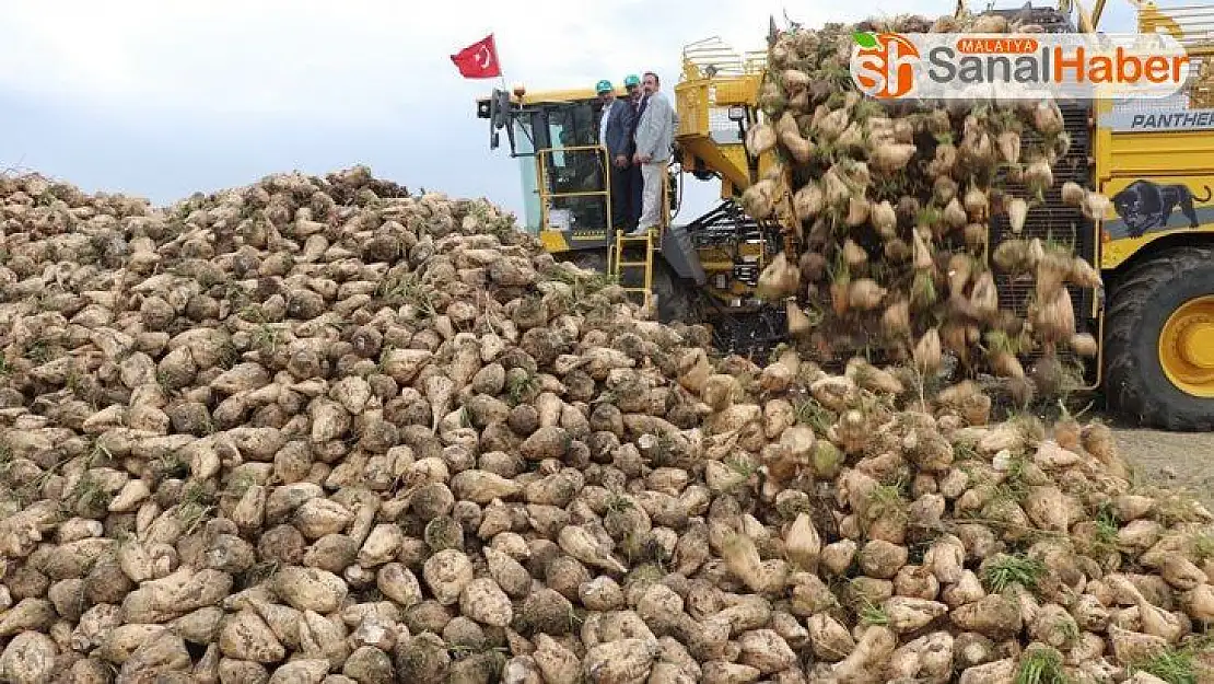 Sivas şeker pancarı üretiminde 6'ncı sırada