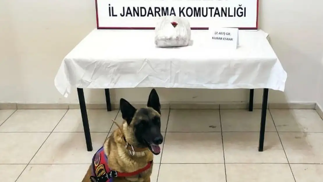 'Sivas´ta 4 kilo 662 gram esrar ele geçirildi'