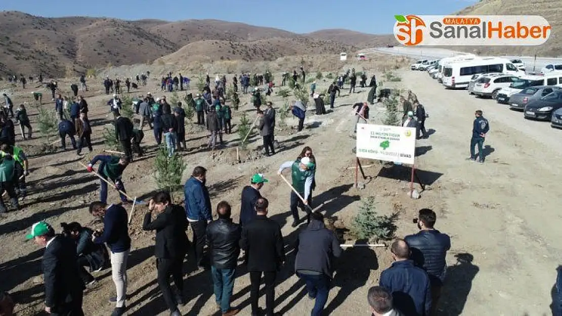 Sivas'ta 49 noktada 511 bin 279 fidan dikildi