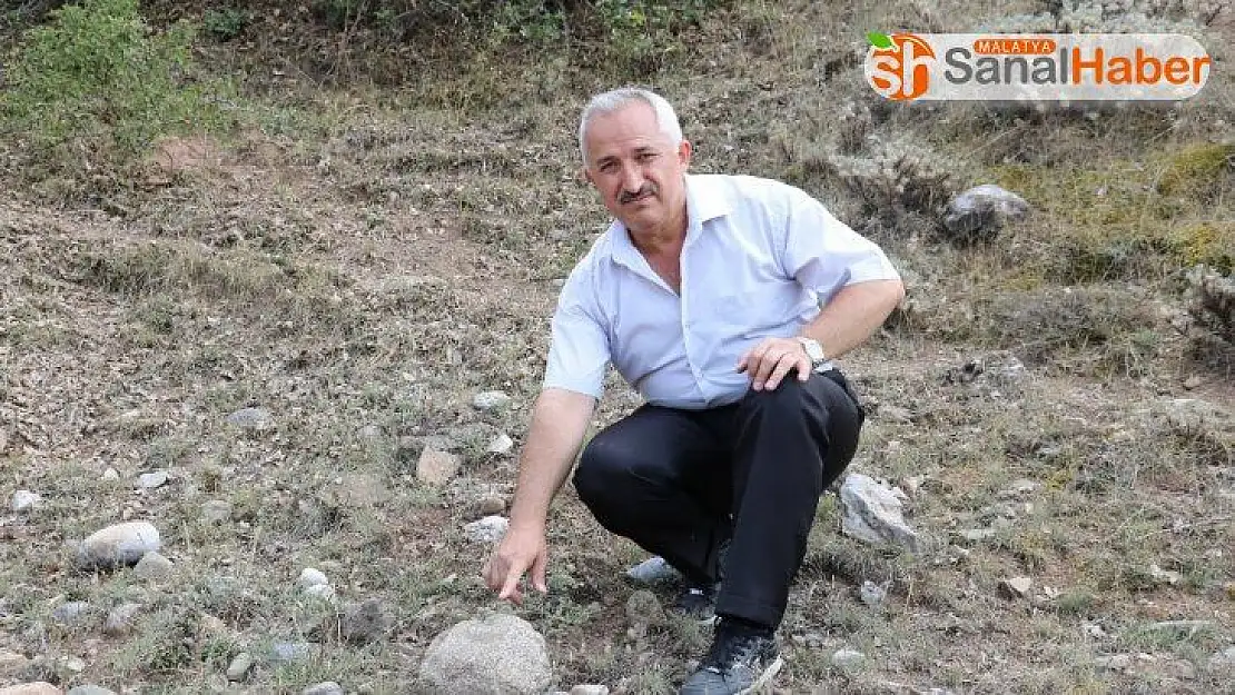 Sivas'ta 55 milyon yıllık deniz canlısı fosili bulundu