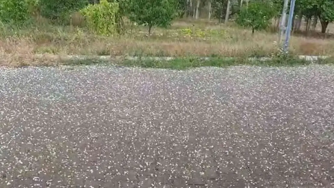 'Sivas´ta dolu yağışı etkili oldu'