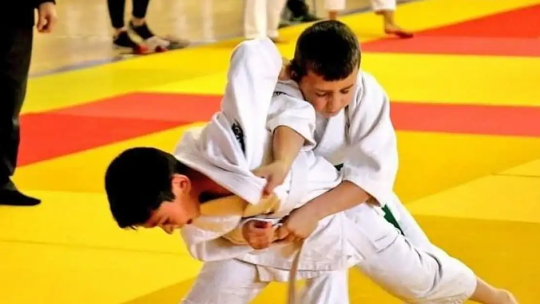 'Sivas´ta ''judo ortak çalışma kampı'' düzenlenecek'