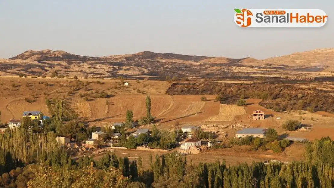 Sivas'ta ot yangını