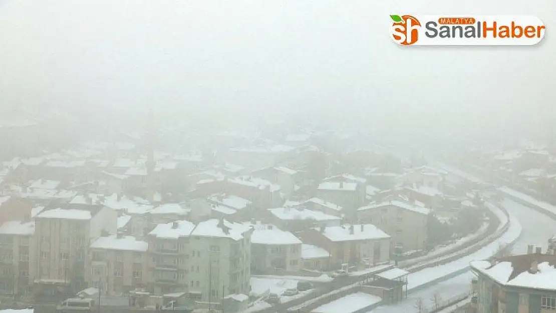Sivas'ta sis etkili oldu
