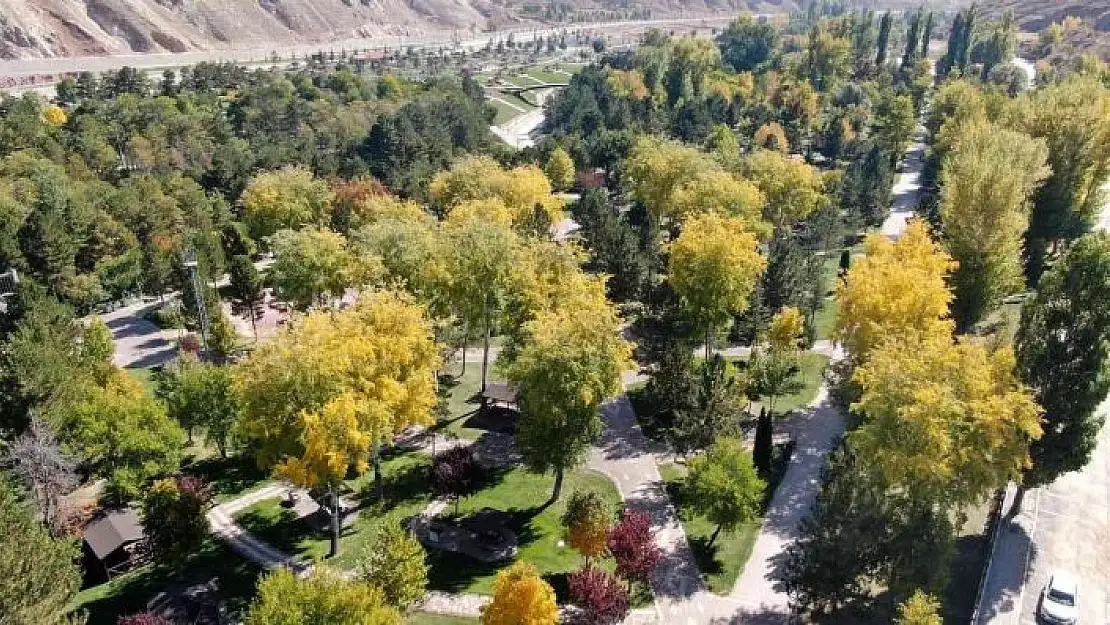 'Sivas´ta son bahar güzelliği'