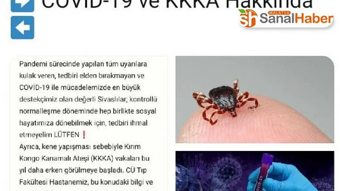 Sivas Valisinden 'Kene' uyarısı