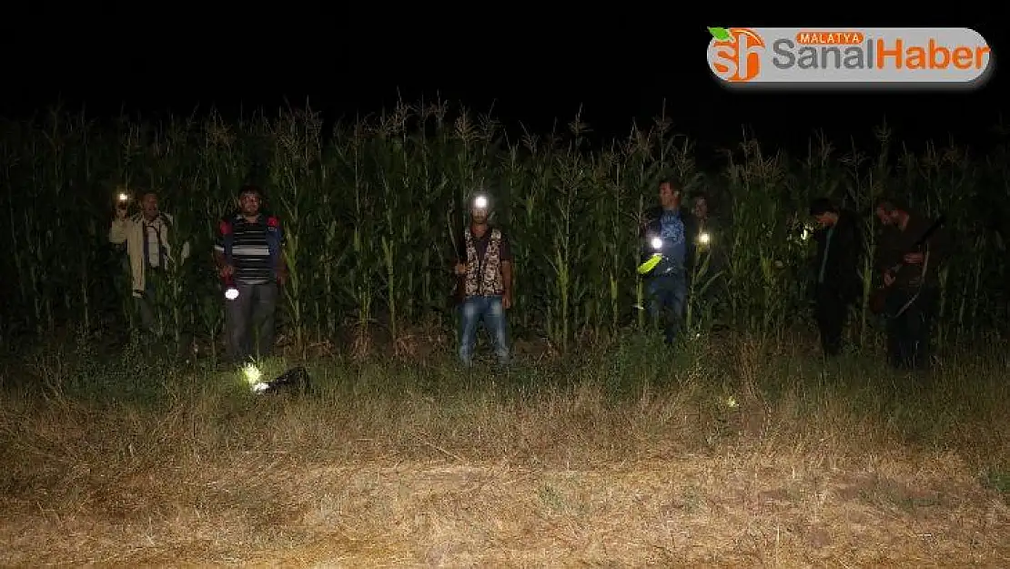 Sivaslı çiftçiler tarlalarında sabahlara kadar domuz nöbeti tutuyor