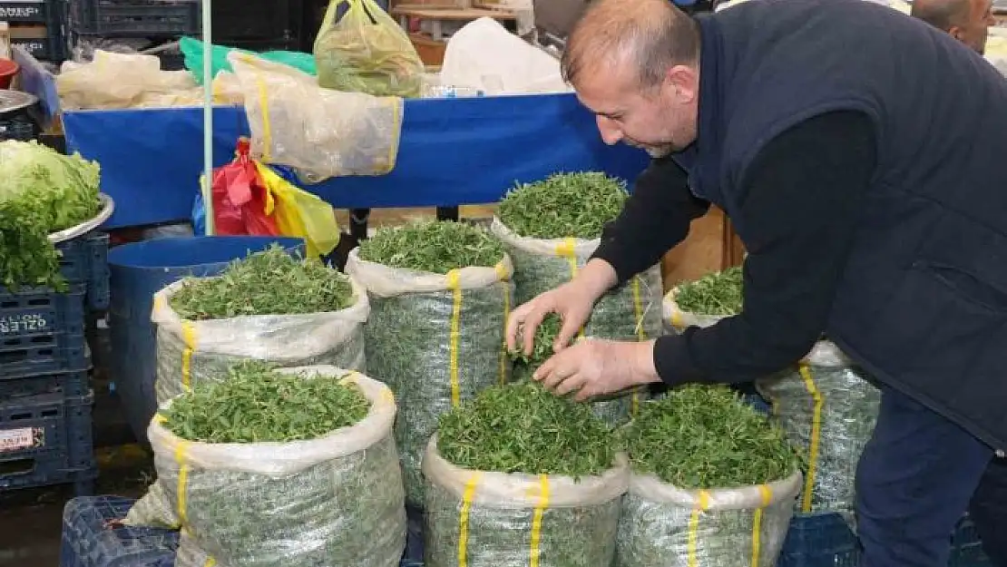 'Sivaslı kadınlar artık madımak toplamak yerine pazardan satın alıyor'